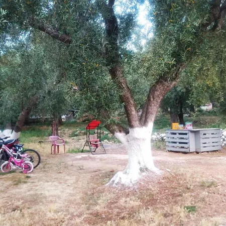 Nikos *