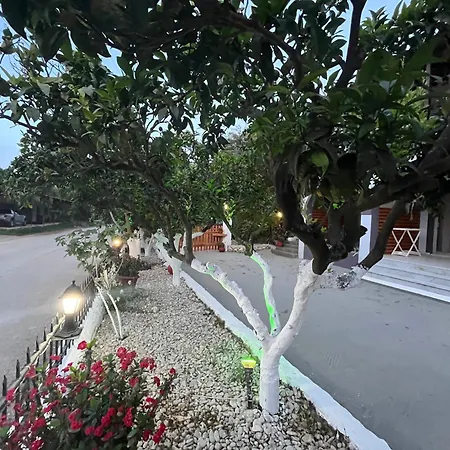 Lejlighed Nikos Keri