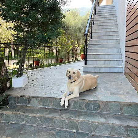 Nikos Appartement